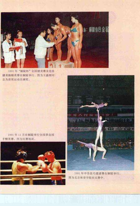 1993版铜陵年鉴  1992.pdf电子版_安徽省志预览图4