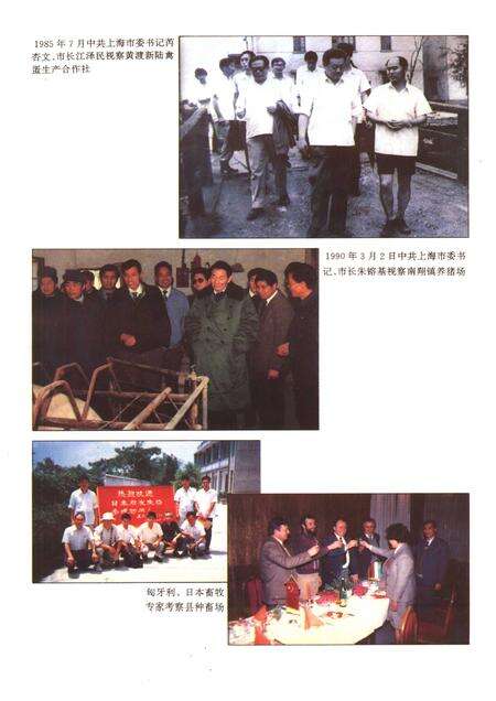1994-嘉定县畜牧水产局志.pdf电子版_上海市志预览图4
