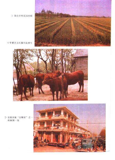 1994版蒙城县志.pdf电子版_安徽省志预览图4