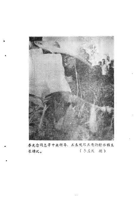 -铁岭文史资料  第5辑.pdf电子版_辽宁省志预览图4