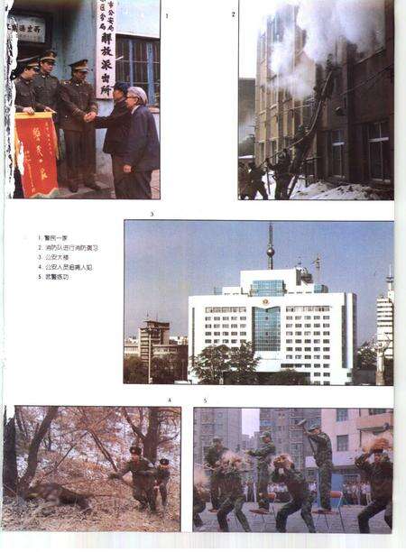 1995-鞍山市志  政法卷.pdf电子版_辽宁省志预览图4