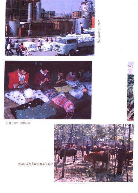 1995版利辛县志.pdf电子版_安徽省志预览图4