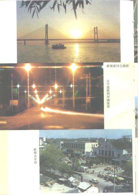1995版蚌埠市志.pdf电子版_安徽省志预览图4