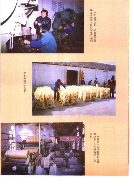 1995版颍上县志.pdf电子版_安徽省志预览图4