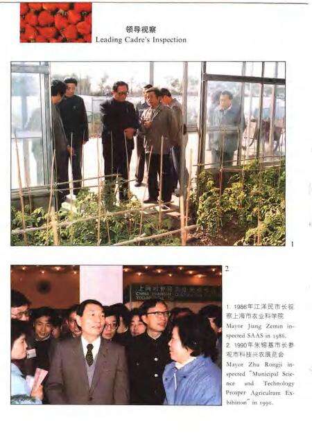 1996-上海农业科研志.pdf电子版_上海市志预览图4