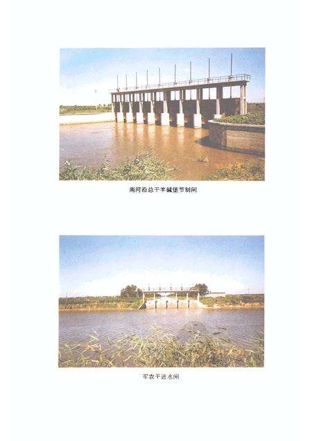 1996-大洼县水利志  1928-1990.pdf电子版_辽宁省志预览图4