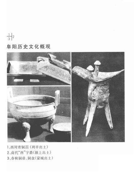 1998版阜阳历史文化概观.pdf电子版_安徽省志预览图4