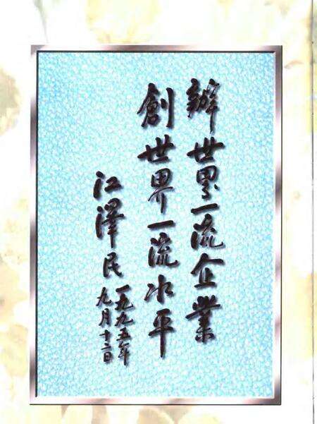 2000-宝钢志  1993-1998.pdf电子版_上海市志预览图4