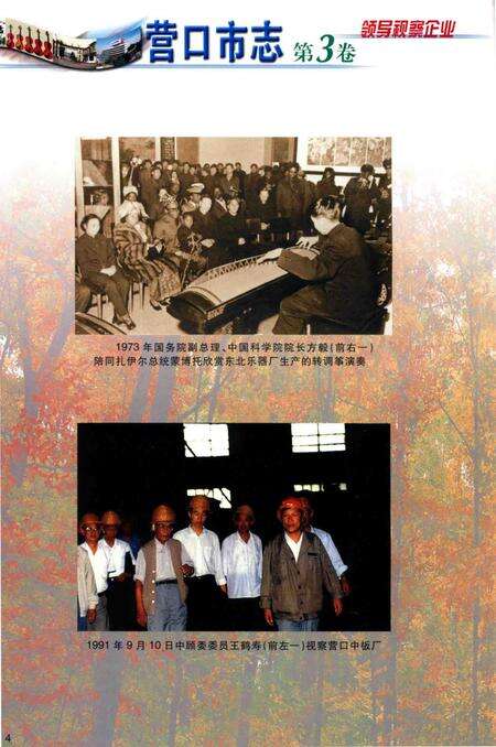 2001-营口市志  第3卷  工业  综合管理  外经外贸.pdf电子版_辽宁省志预览图4