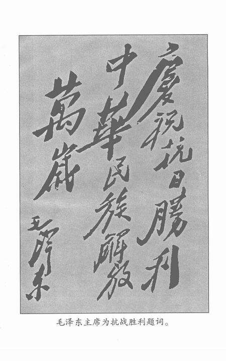2001版淮北抗日风云.pdf电子版_安徽省志预览图4