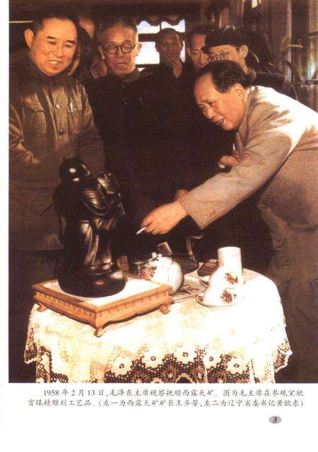 2004-抚顺煤矿百年.pdf电子版_辽宁省志预览图4