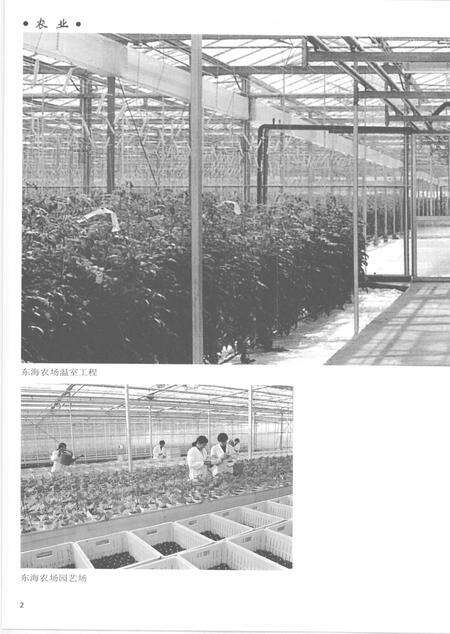 2005-上海通志  第5册.pdf电子版_上海市志预览图4