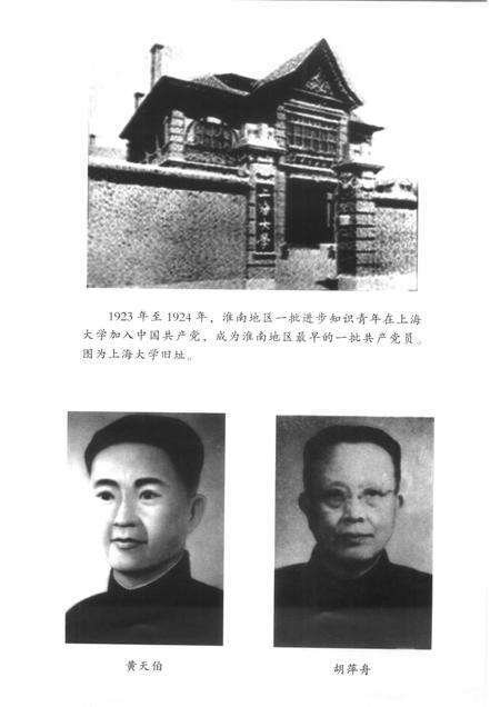 2005版中共淮南地方史.pdf电子版_安徽省志预览图4