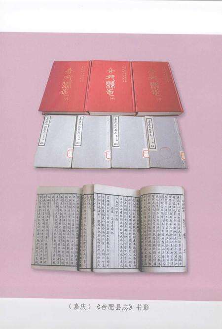 2006版嘉庆合肥县志.pdf电子版_安徽省志预览图4