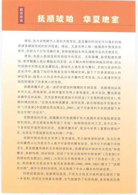 2007-抚顺琥珀.pdf电子版_辽宁省志预览图4