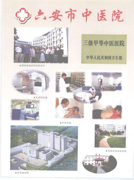 2007版六安年鉴  2007.pdf电子版_安徽省志预览图4