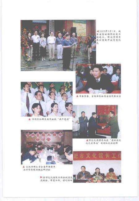 2007版合肥群众文化五十年.pdf电子版_安徽省志预览图4