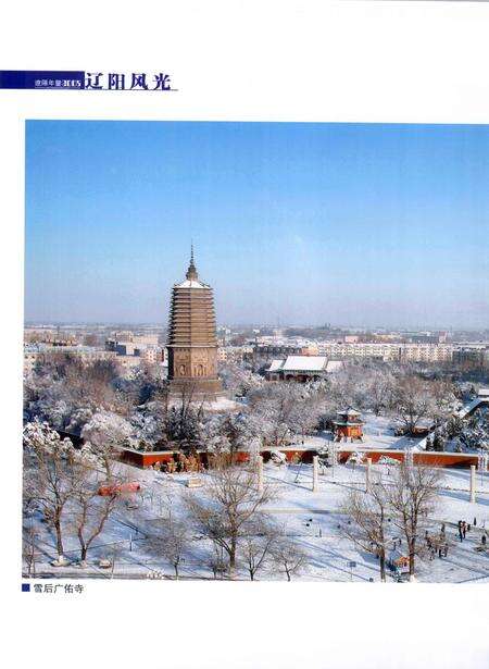 2009-辽阳年鉴  2008.pdf电子版_辽宁省志预览图4