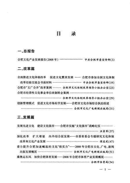 2009版合肥文化产业发展蓝皮书  2008.pdf电子版_安徽省志预览图4