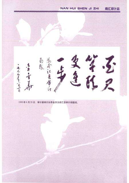 2010-南汇审计志.pdf电子版_上海市志预览图4