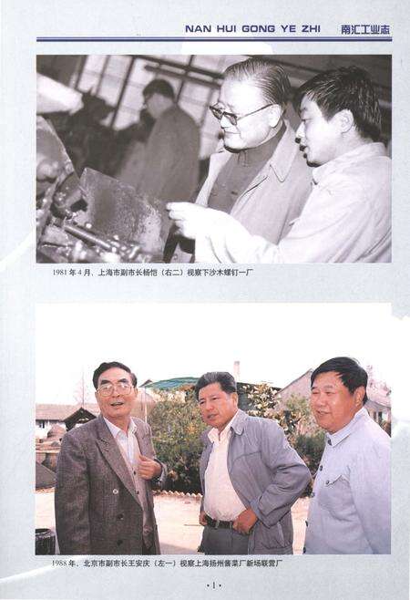 2013-南汇工业志.pdf电子版_上海市志预览图4