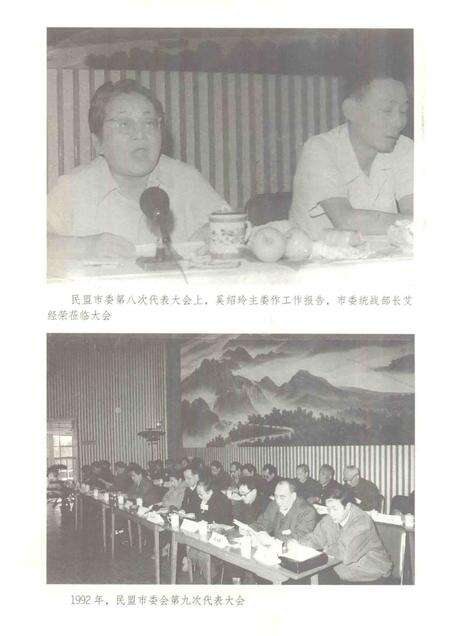 2013版芜湖民盟史.pdf电子版_安徽省志预览图4