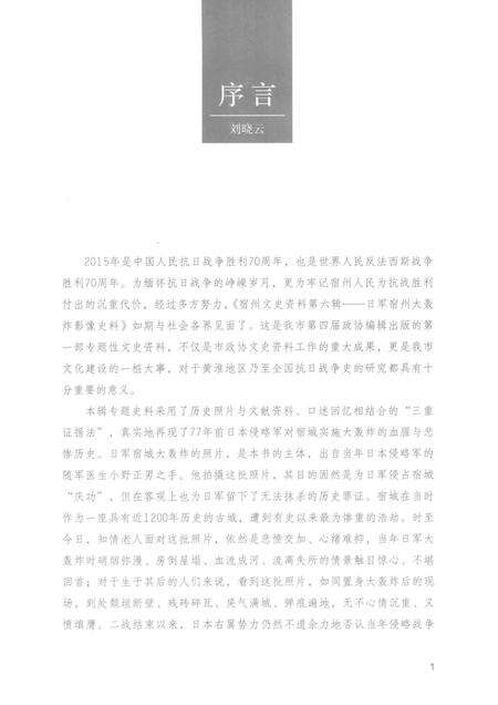 2015版宿州文史资料  日军宿州大轰炸影像史料.pdf电子版_安徽省志预览图4