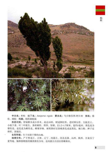 2016-内蒙古自治区锡林郭勒盟木本植物图鉴.pdf电子版_内蒙古志预览图4