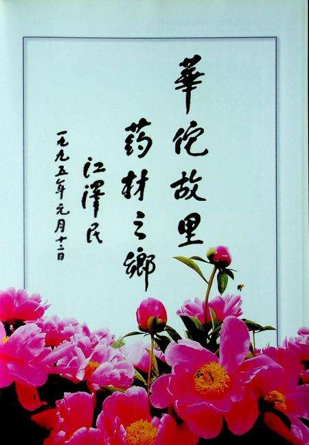 亳州市志(2000-2009).pdf电子版_安徽省志预览图4