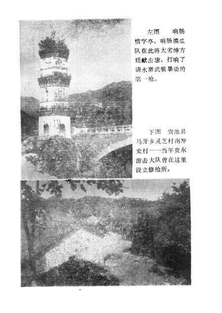 安庆地区近代革命史稿.pdf电子版_安徽省志预览图4