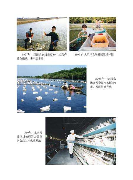 安徽省志农垦志.pdf电子版_安徽省志预览图4