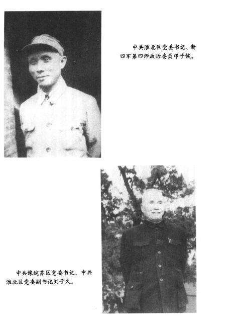 抗战在淮北  第4辑.pdf电子版_安徽省志预览图4