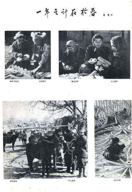 新疆画报1962年第01期.pdf电子版_新疆维吾尔族自治区志预览图4