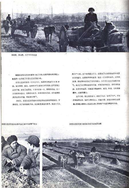 新疆画报1962年第03期.pdf电子版_新疆维吾尔族自治区志预览图4