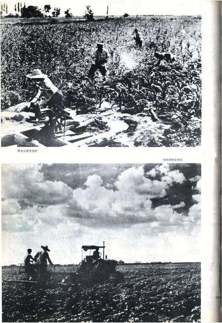 新疆画报1962年第06期.pdf电子版_新疆维吾尔族自治区志预览图4
