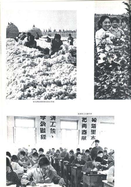 新疆画报1964年第06期.pdf电子版_新疆维吾尔族自治区志预览图4