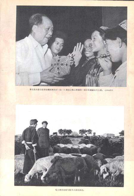 新疆画报1973年第01期.pdf电子版_新疆维吾尔族自治区志预览图4