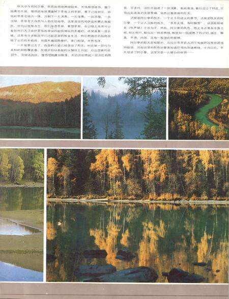 新疆画报1987年第01期.pdf电子版_新疆维吾尔族自治区志预览图4