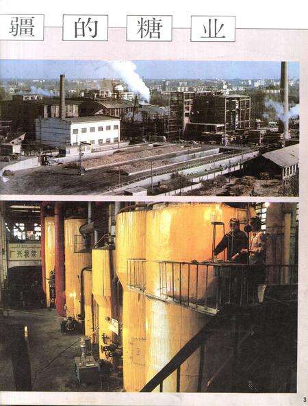 新疆画报1989年第01期.pdf电子版_新疆维吾尔族自治区志预览图4