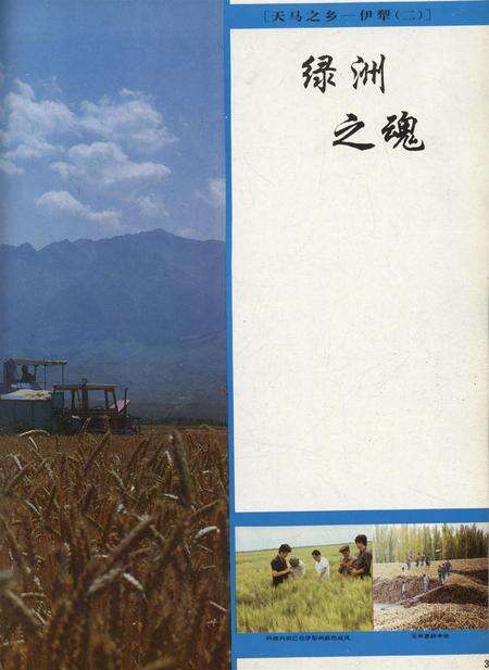 新疆画报1991年第06期.pdf电子版_新疆维吾尔族自治区志预览图4