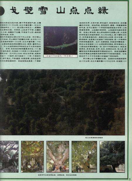 新疆画报1992年第03期.pdf电子版_新疆维吾尔族自治区志预览图4