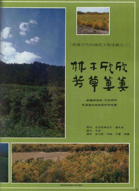 新疆画报1992年第05期.pdf电子版_新疆维吾尔族自治区志预览图4