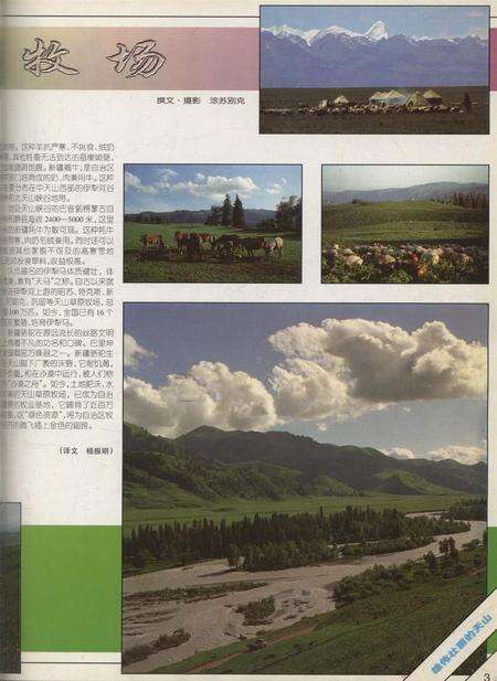 新疆画报1999年第01期.pdf电子版_新疆维吾尔族自治区志预览图4