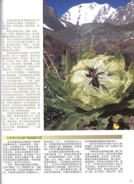 新疆画报2010年第06期.pdf电子版_新疆维吾尔族自治区志预览图4