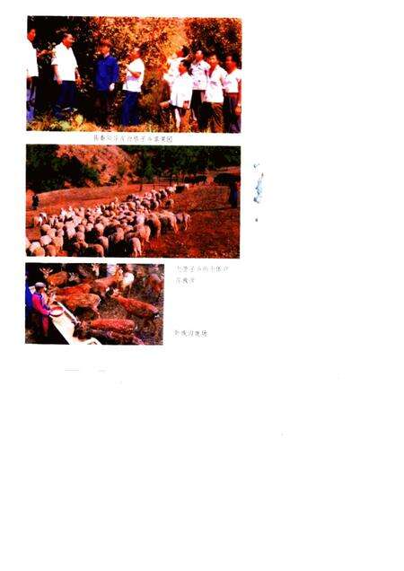 1985-喀喇沁左翼蒙古族自治县概况.pdf电子版_辽宁省志预览图4