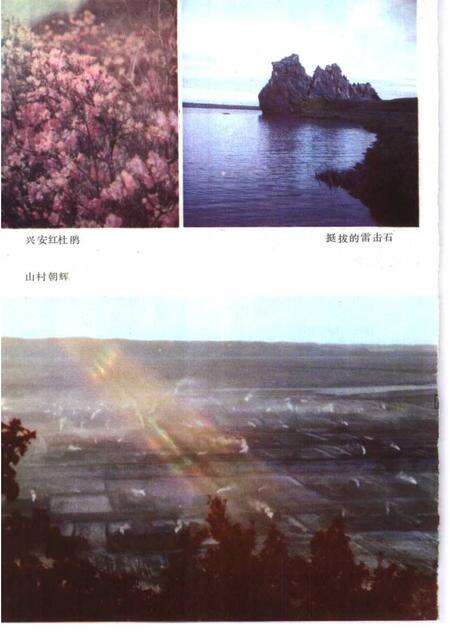 1985-莫力达瓦达斡尔族自治旗概况.pdf电子版_内蒙古志预览图4