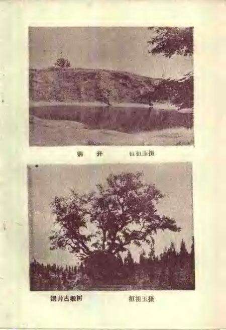 1986版全椒文史资料  第2辑.pdf电子版_安徽省志预览图5