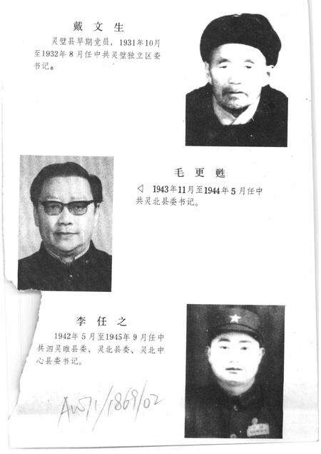 1987版灵璧县党史资料选编.pdf电子版_安徽省志预览图5