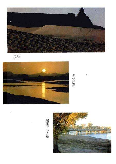 1988-额济纳旗地名志  蒙、汉文.pdf电子版_内蒙古志预览图5