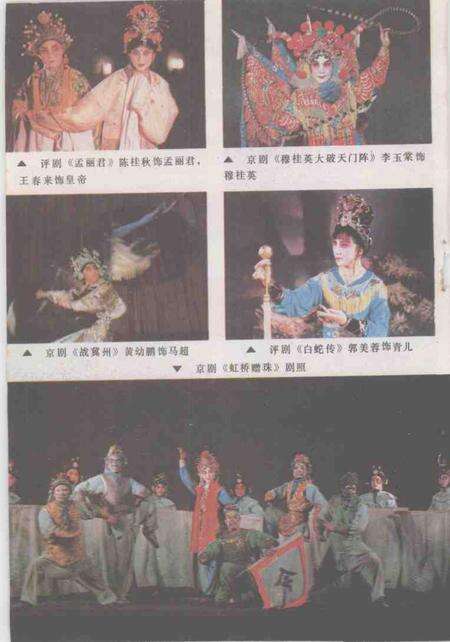 1989-锦州市戏曲志.pdf电子版_辽宁省志预览图5